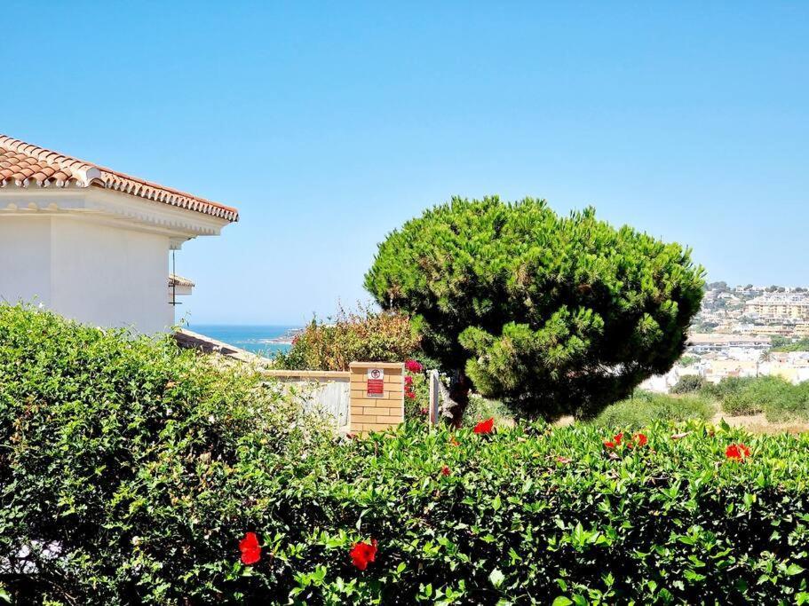 Appartement Ground Floor In La Cala